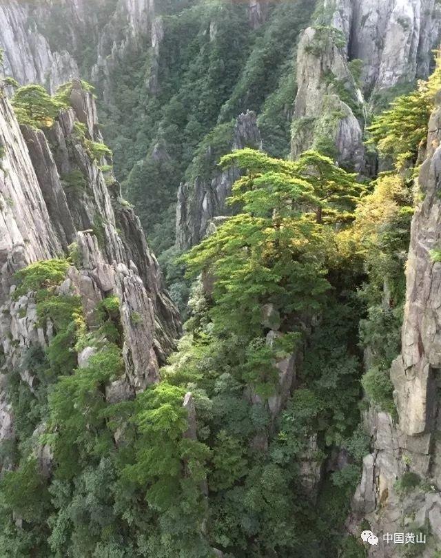 美图秀秀下载2023最新版