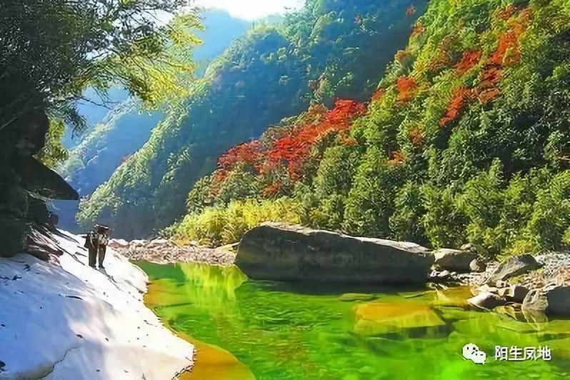 沪江开心词场